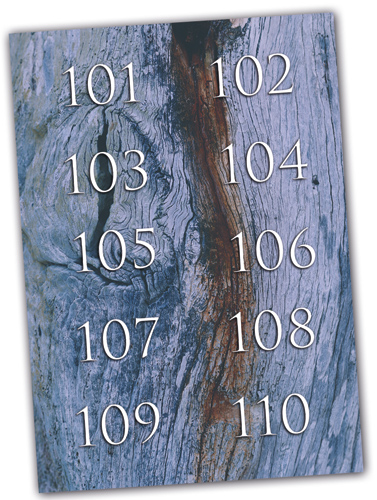 Hotel Schl&uuml;sselanh&auml;nger in verschiedenen Holzdesigns